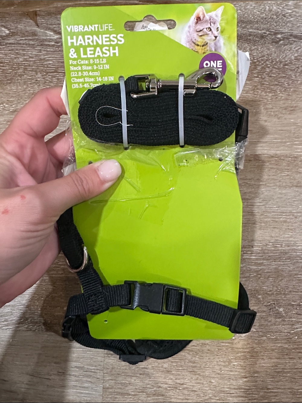 Vibrant Black Cat Harness & Leash Set
